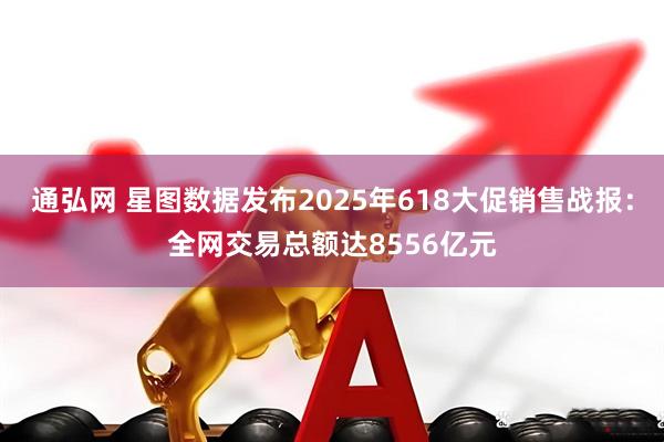 通弘网 星图数据发布2025年618大促销售战报：全网交易总额达8556亿元