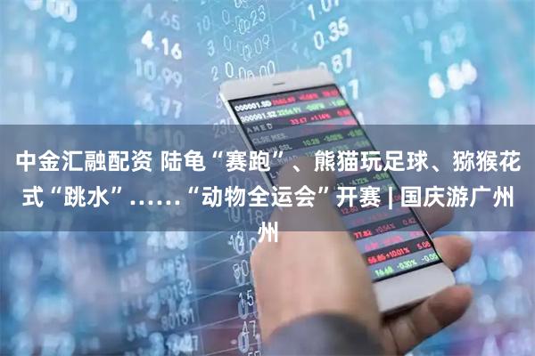中金汇融配资 陆龟“赛跑”、熊猫玩足球、猕猴花式“跳水”……“动物全运会”开赛 | 国庆游广州